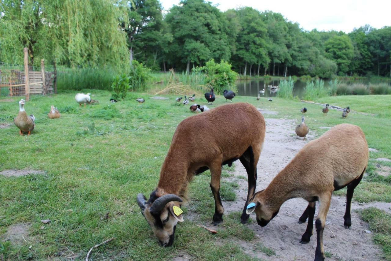 Вилла Ferme Des Poulardieres Crouy-sur-Cosson Экстерьер фото