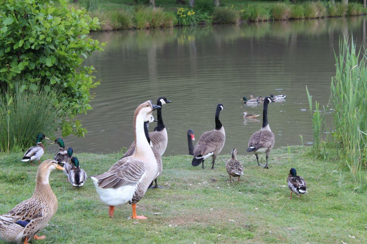 Ferme Des Poulardieres Crouy-sur-Cosson Экстерьер фото