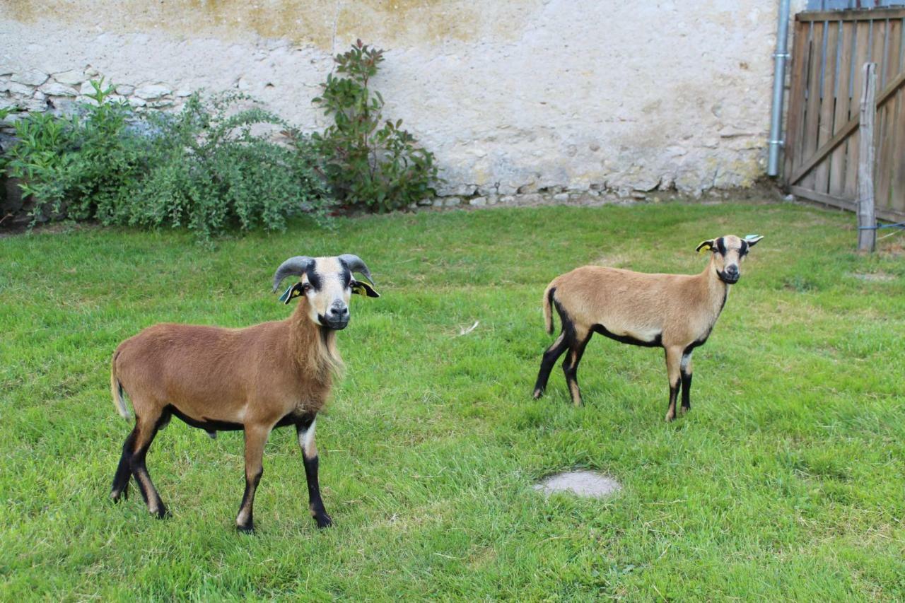 Вилла Ferme Des Poulardieres Crouy-sur-Cosson Экстерьер фото